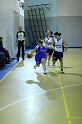 Basket 252055